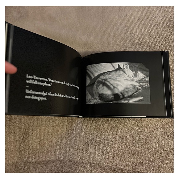 CAT HUMOR YouTube Star HENRI le CHAT NOIR Parody Satire LITTLE ART PHOTO BOOK - Picture 4 of 7